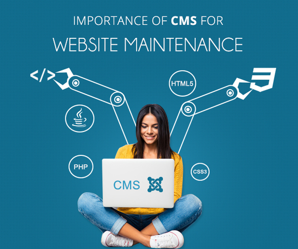website maintenance india